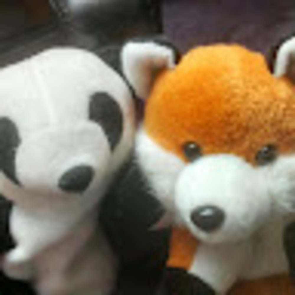 Meet your Posher, Tricia